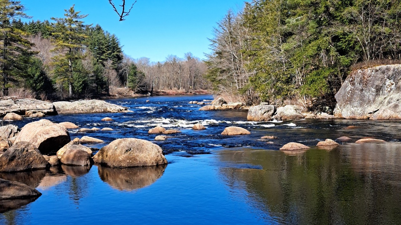 Photo of Others in Town of Lyonsdale