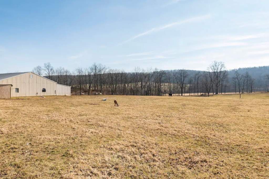 Photo of Others in Nook