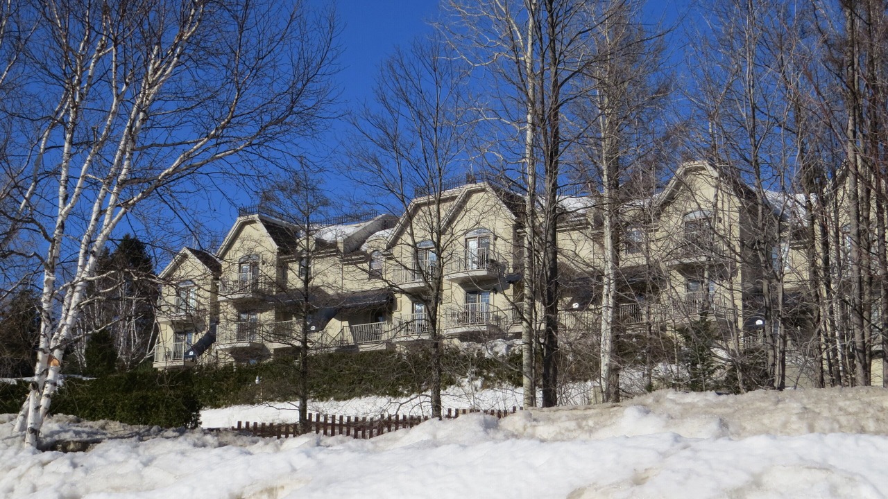 Photo of Outdoor in Piedmont