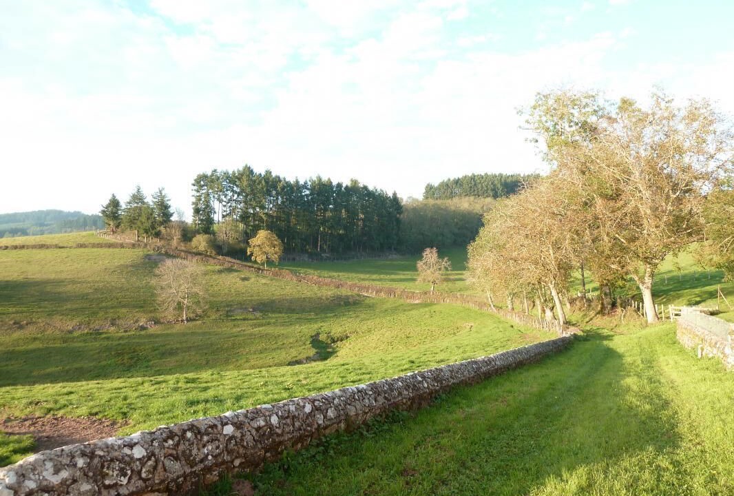 Photo of Others in Dompierre-les-Ormes