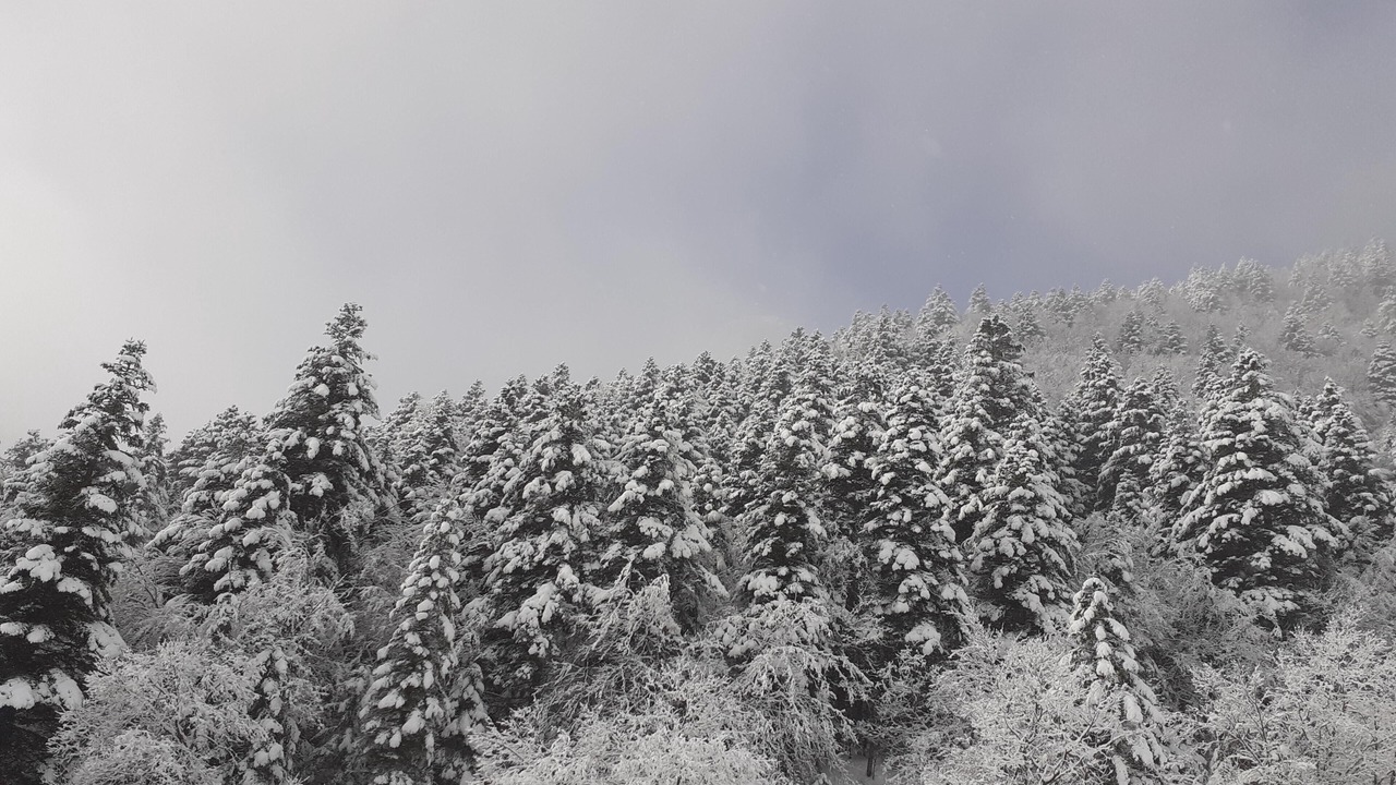 Photo of Others in Gresse-en-Vercors