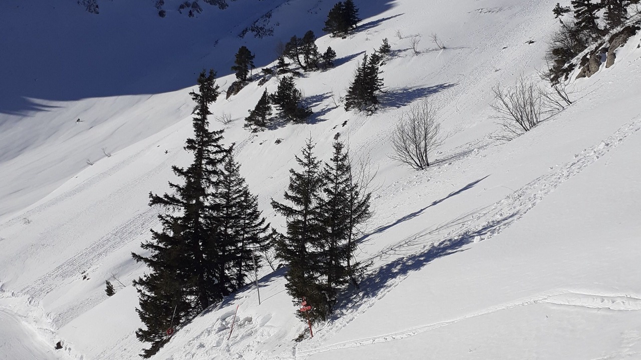 Photo of Others in Gresse-en-Vercors