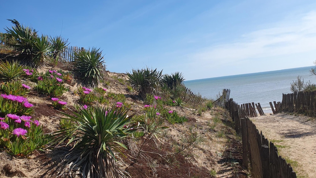 Photo of Others in La Tranche-sur-Mer