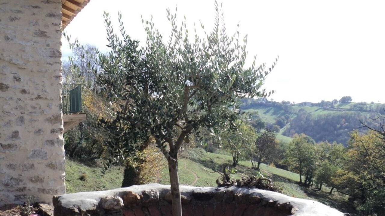 Photo of Outdoor in Firmi