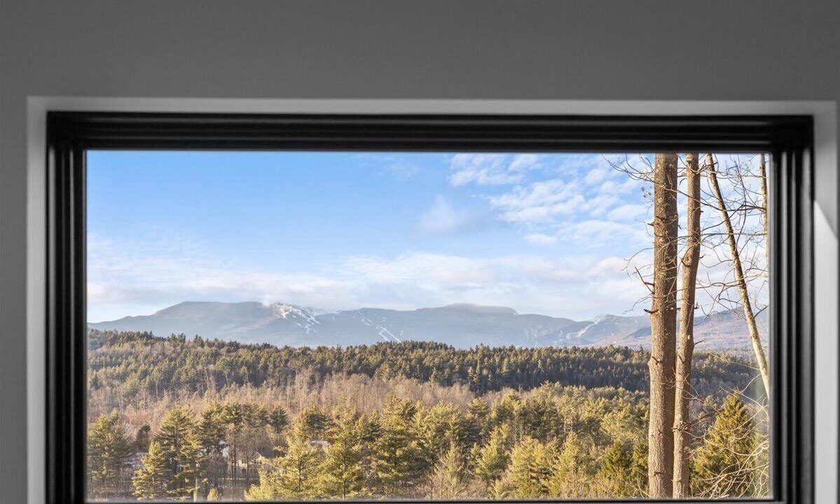 Photo of Others in Stowe Hollow