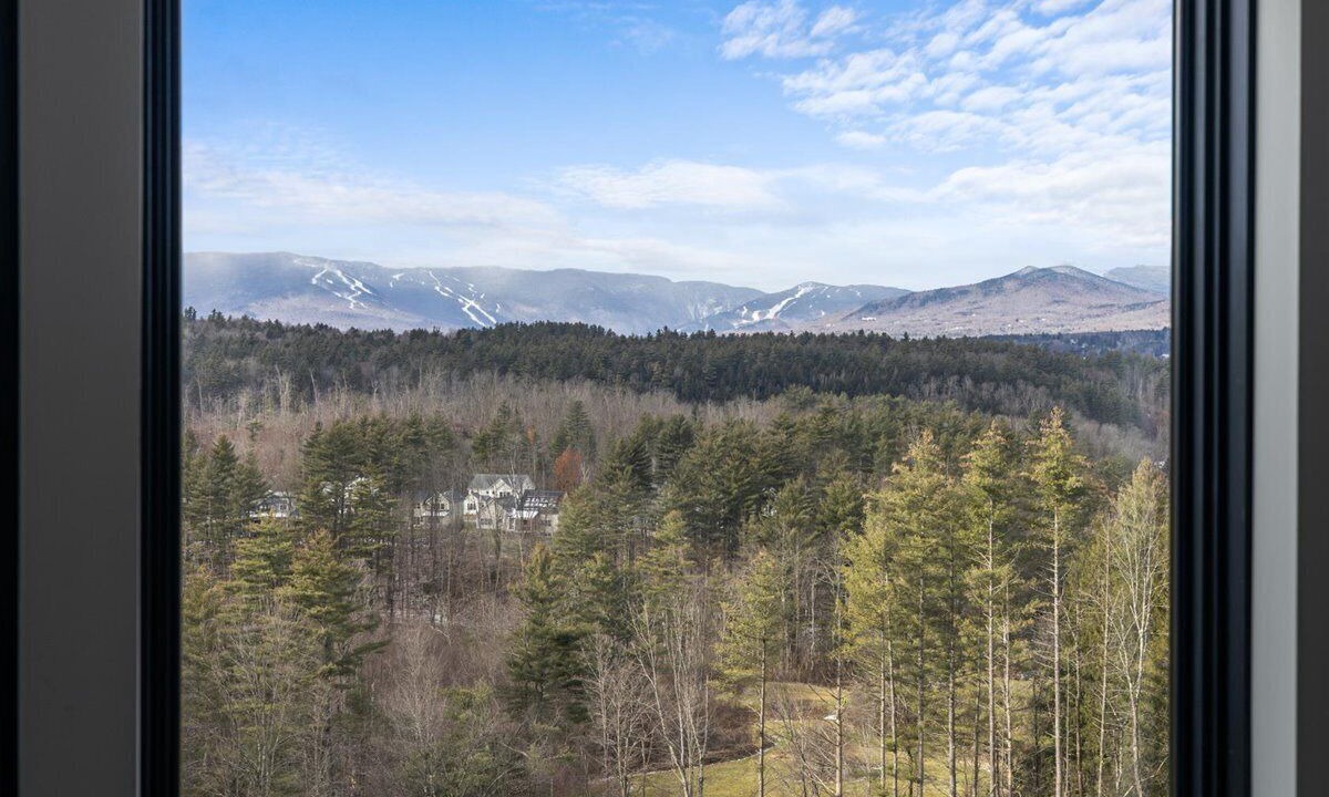 Photo of Others in Stowe Hollow