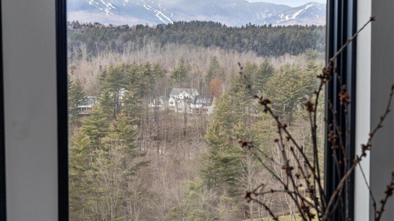 Photo of Others in Stowe Hollow