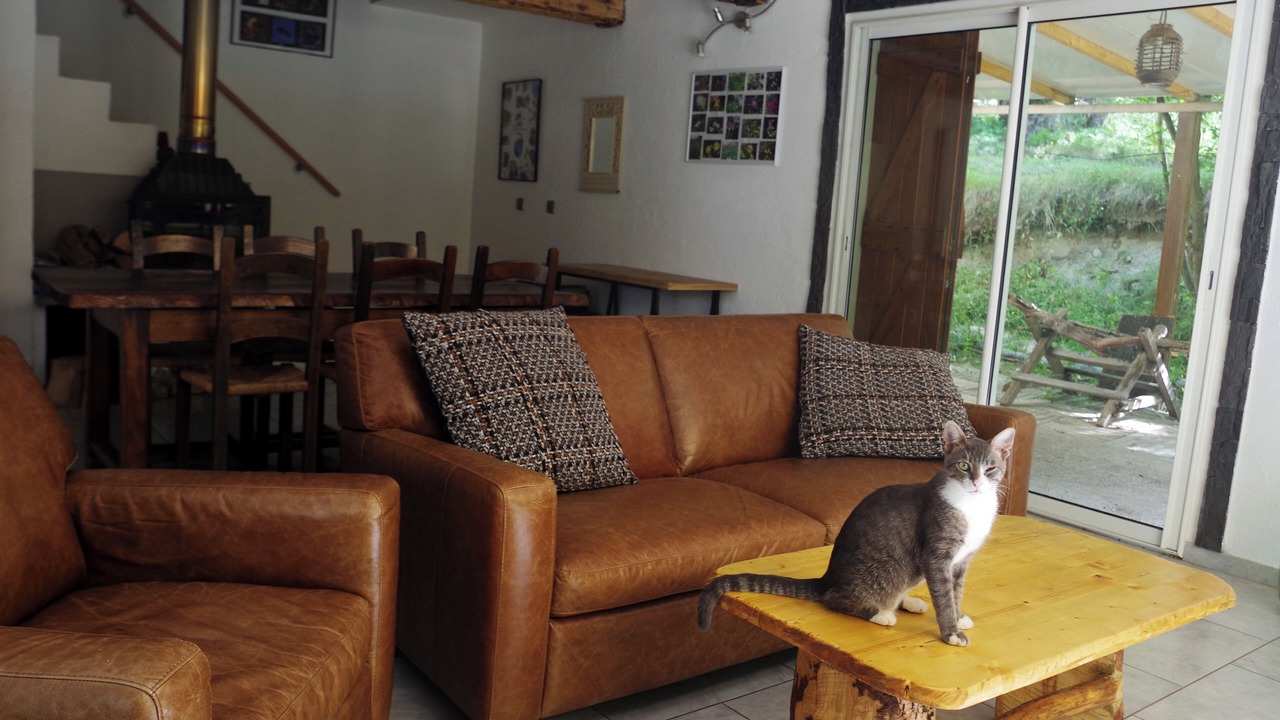 Photo of Livingroom in Belvedere