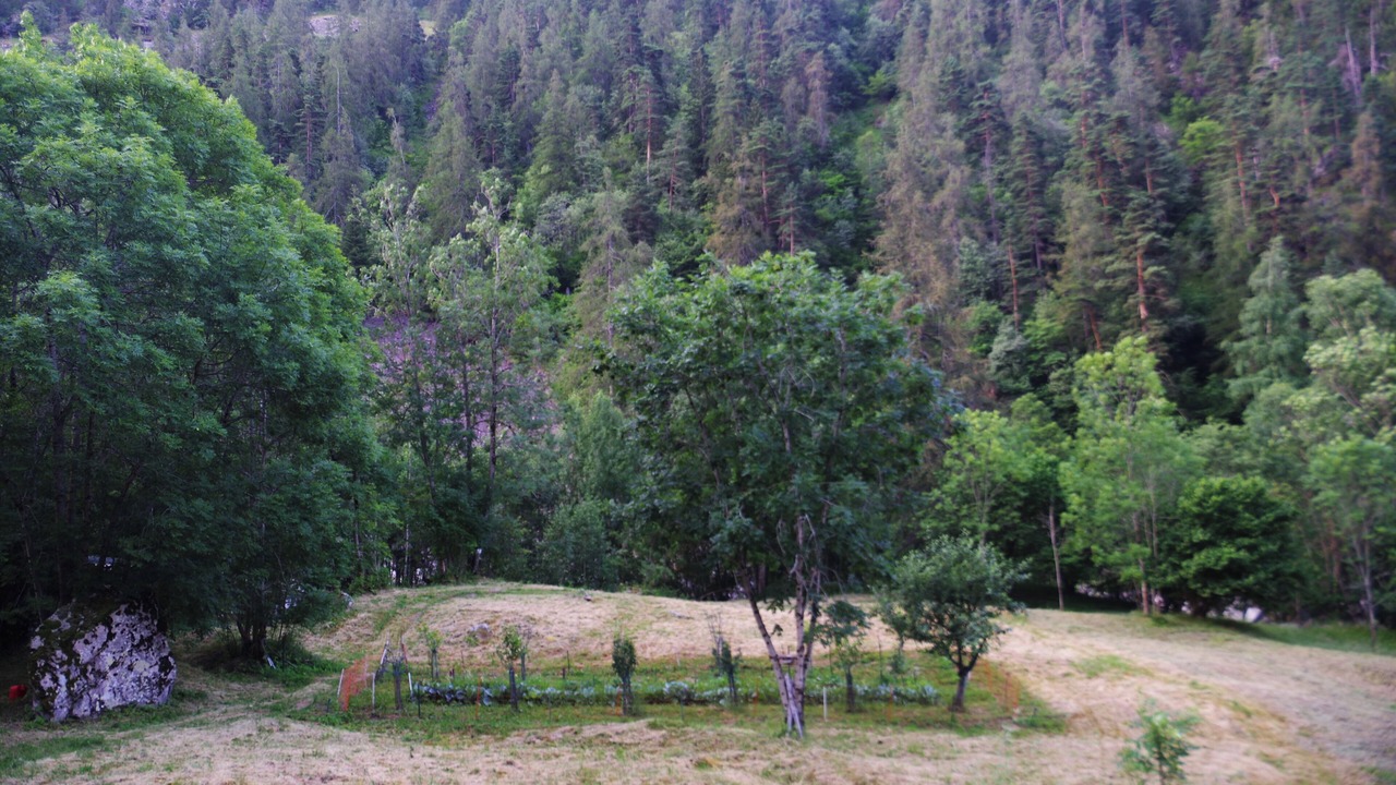 Photo of Outdoor in Belvedere