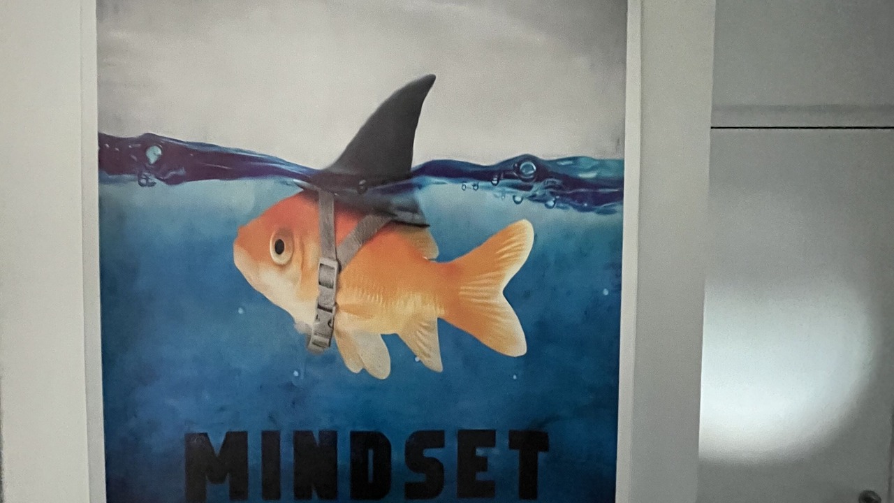 Photo of Others in Le Somail