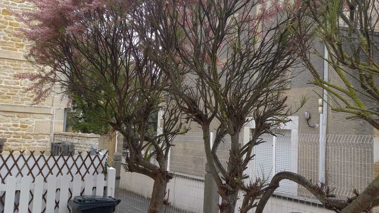 Photo of Outdoor in Saint-Regnobert-de-la-Cote-de-Nacre