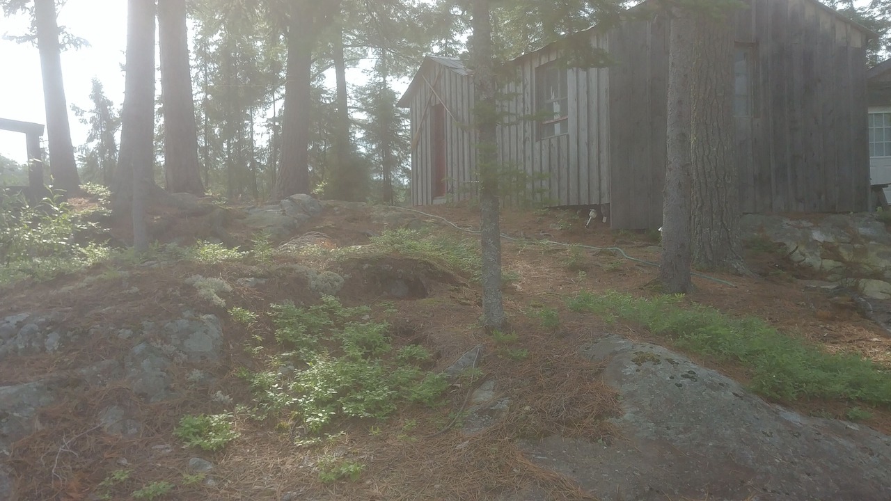Photo of Outdoor in Adanac