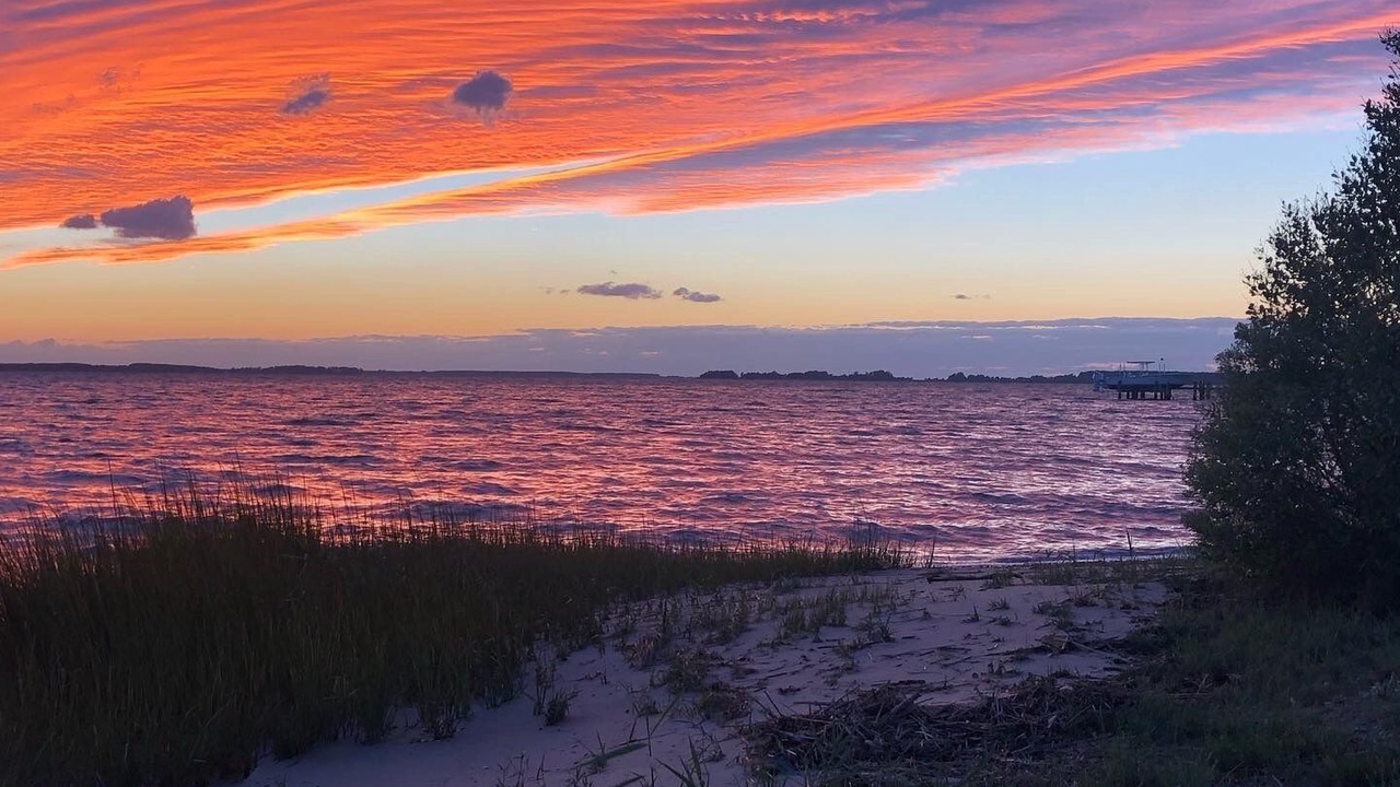 Photo of Others in Trappe