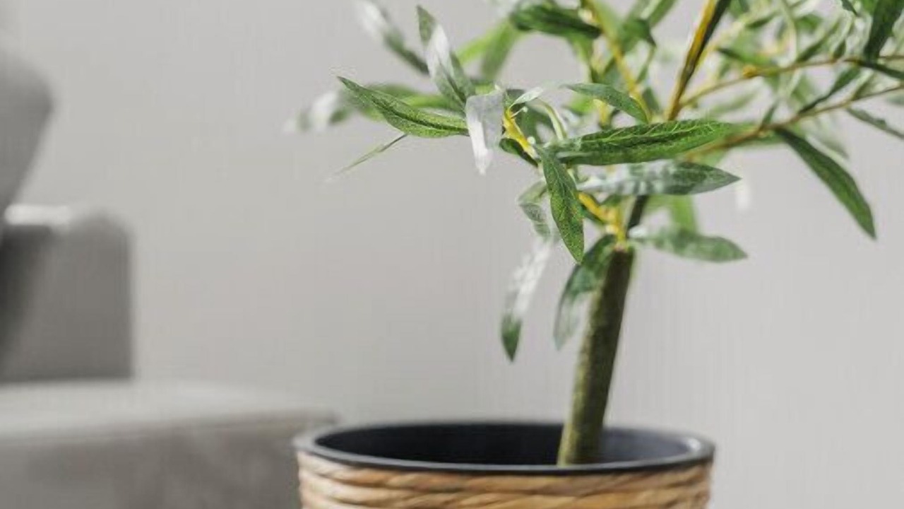 Photo of Others in Brown Hill