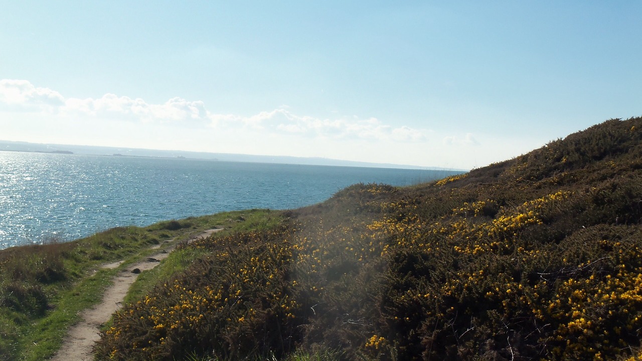 Photo of Others in Fermanville