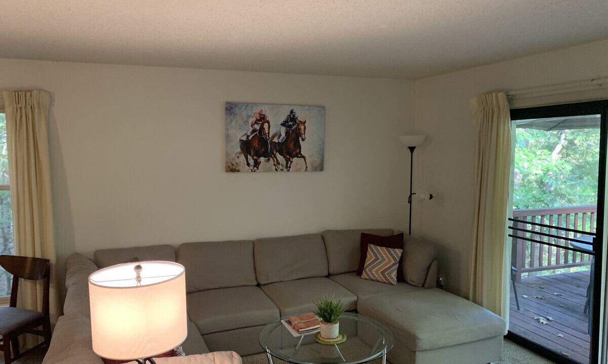 Photo of Livingroom in Hot Springs Village