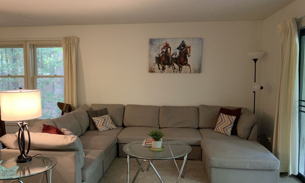 Photo of Livingroom in Hot Springs Village