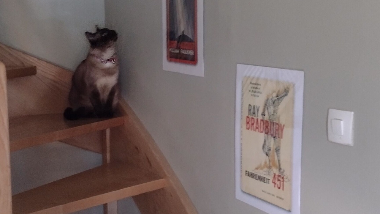 Photo of Others in Nantes-en-Ratier