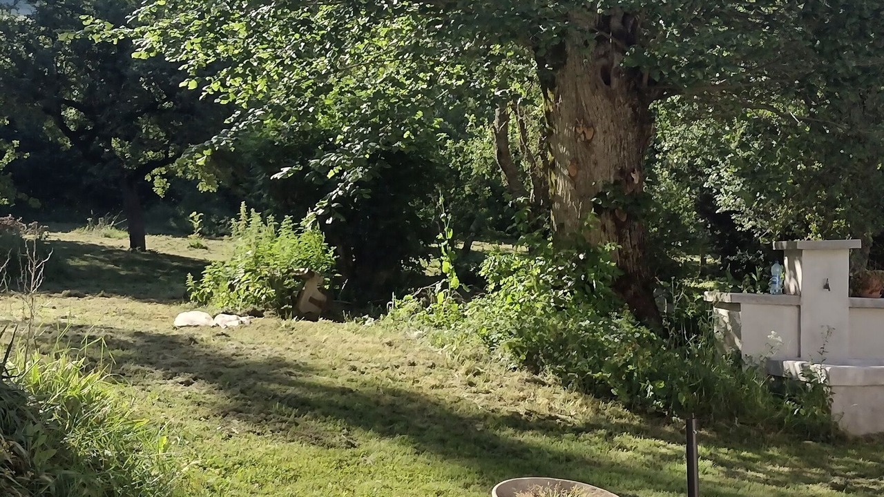 Photo of Outdoor in Nantes-en-Ratier