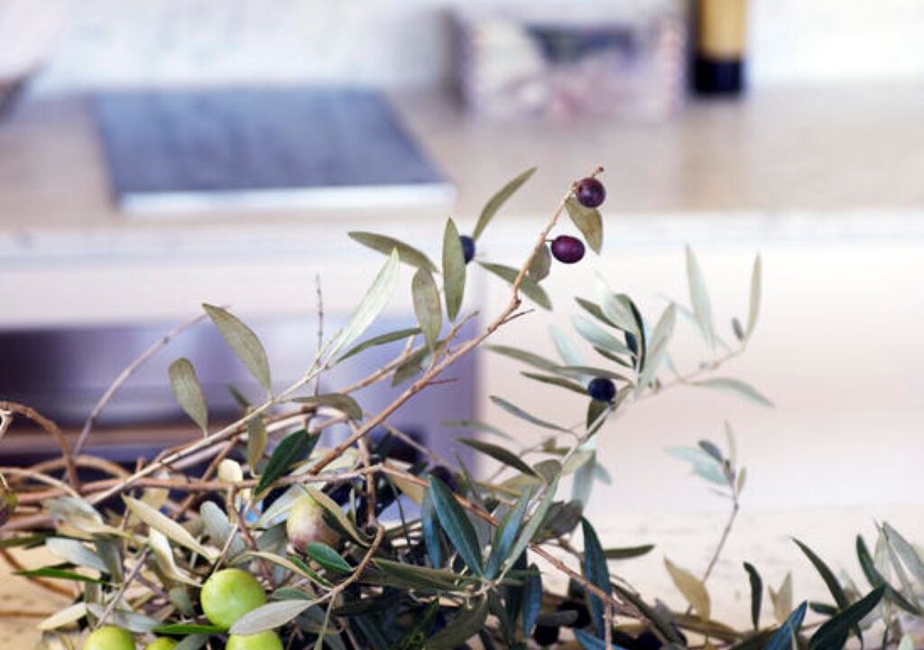 Photo of Others in Cessnock City Council