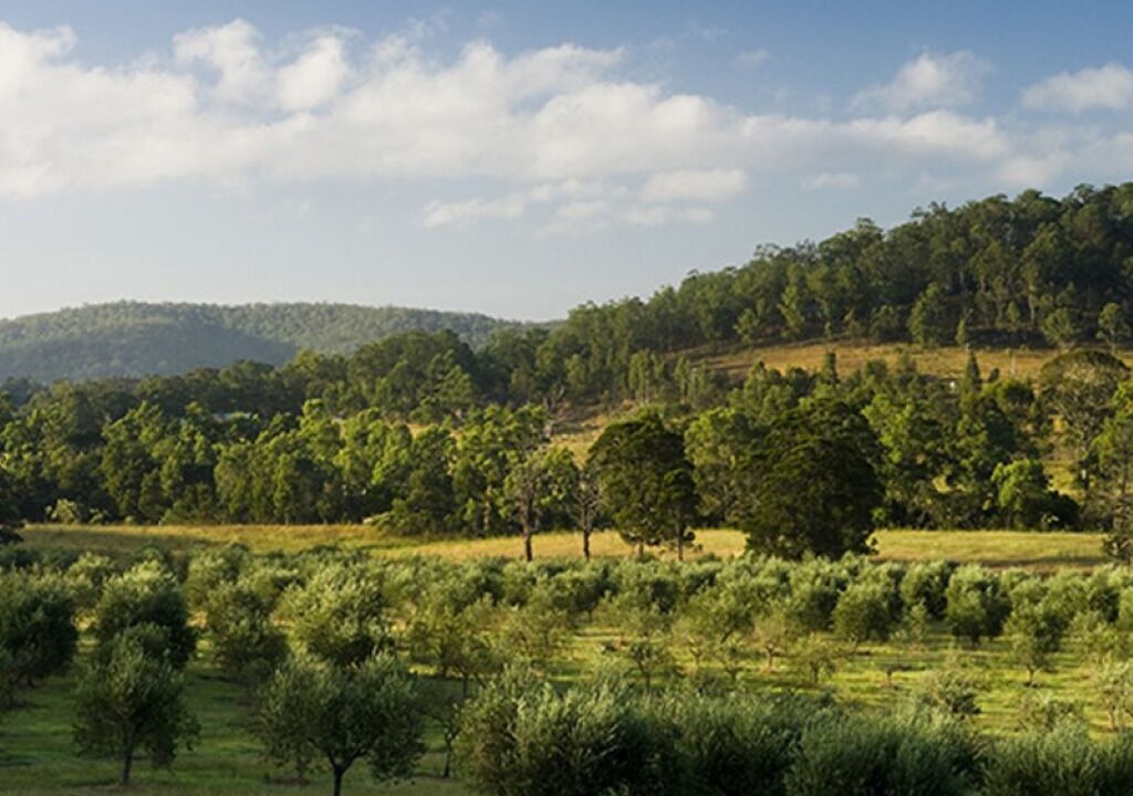 Photo of Others in Cessnock City Council
