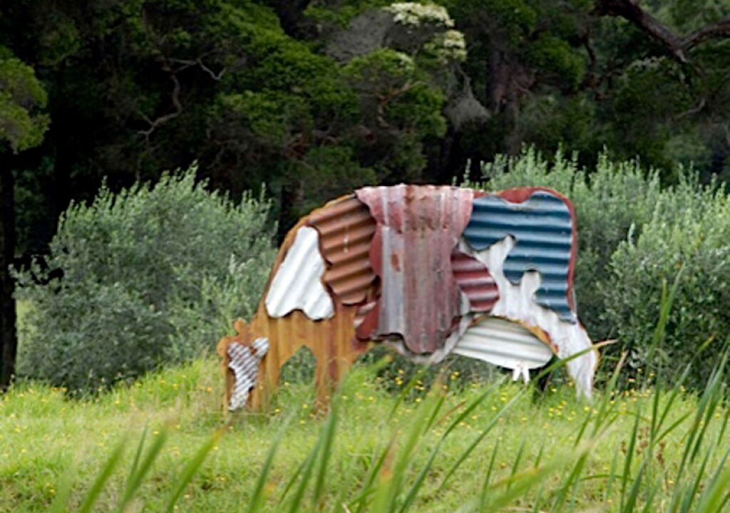 Photo of Outdoor in Cessnock City Council