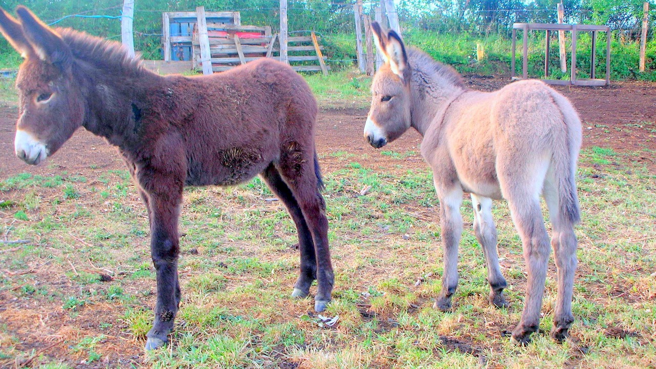 Photo of Outdoor in Huriel
