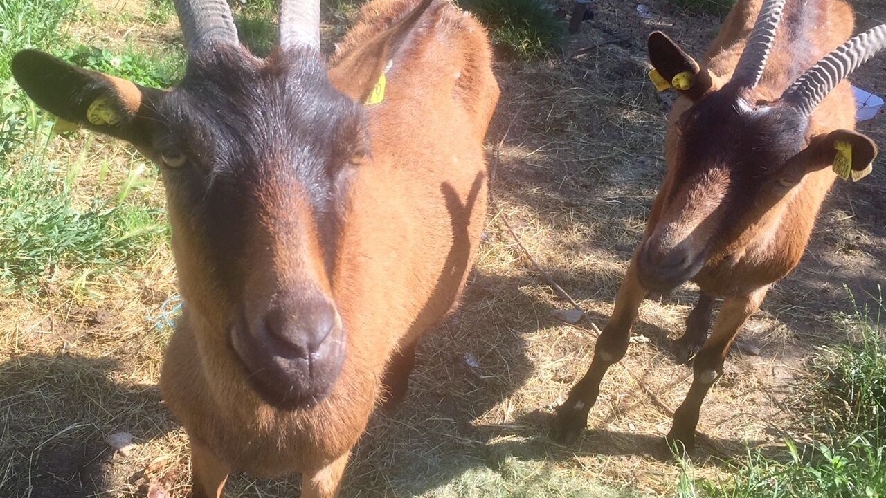 Photo of Bedroom in Huriel