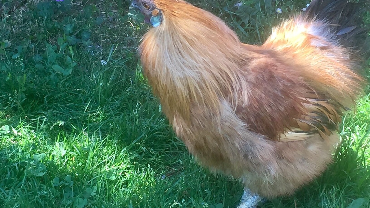 Photo of Bathroom in Huriel