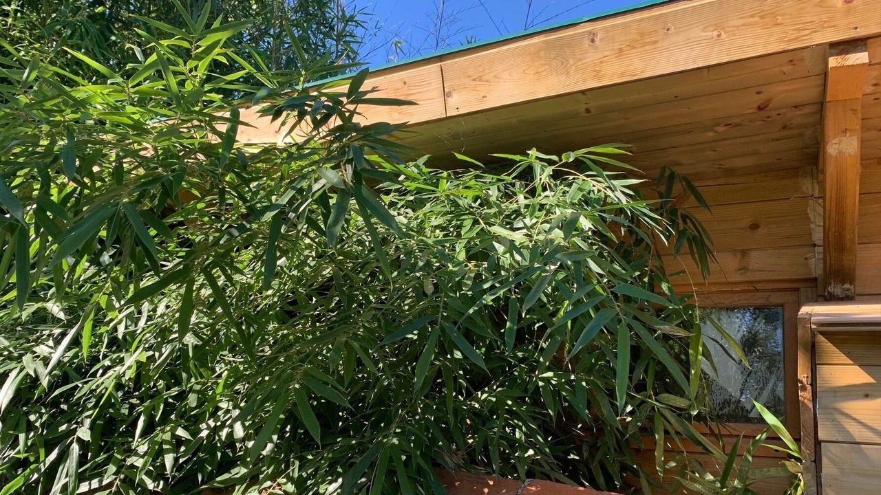 Photo of Outdoor in Huriel