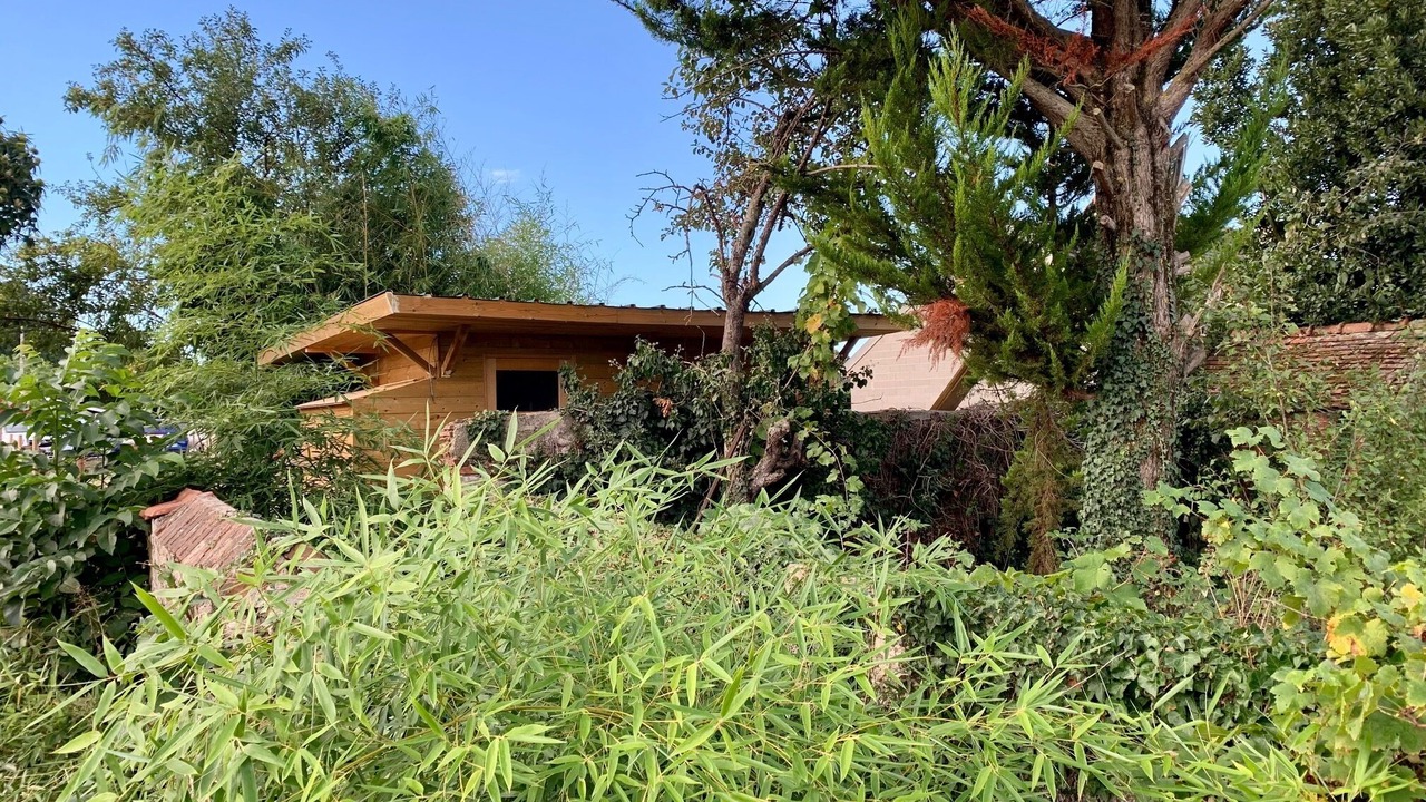 Photo of Outdoor in Huriel