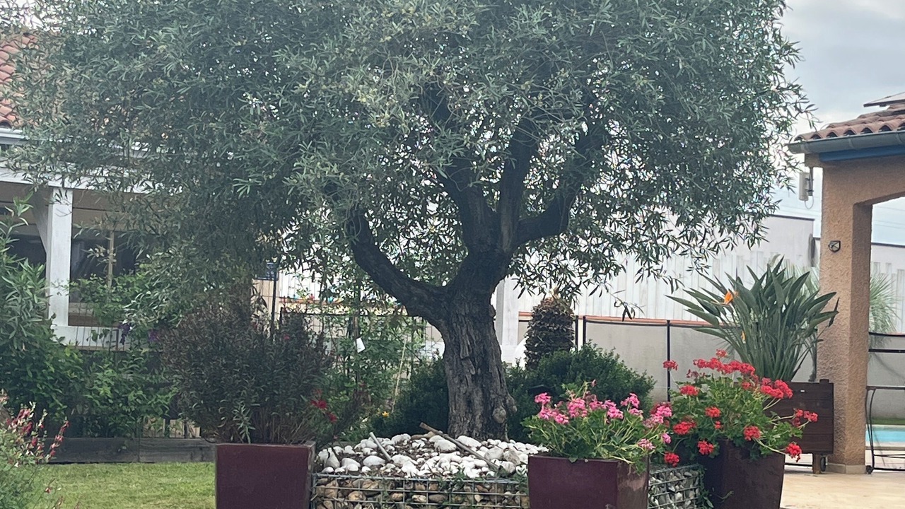 Photo of Outdoor in Coufouleux