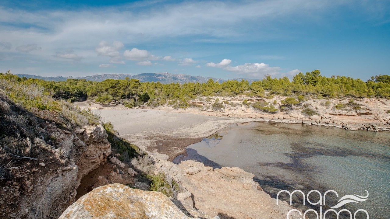 Photo of Others in Les Tres Cales