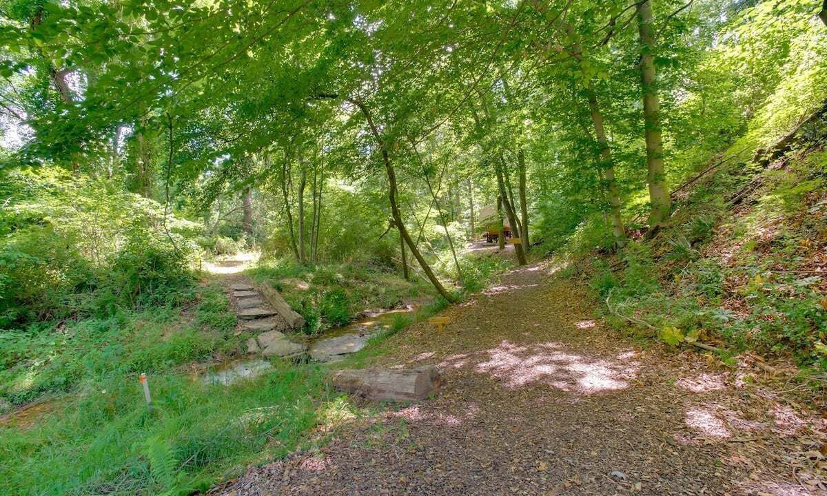 Photo of Others in Strasburg