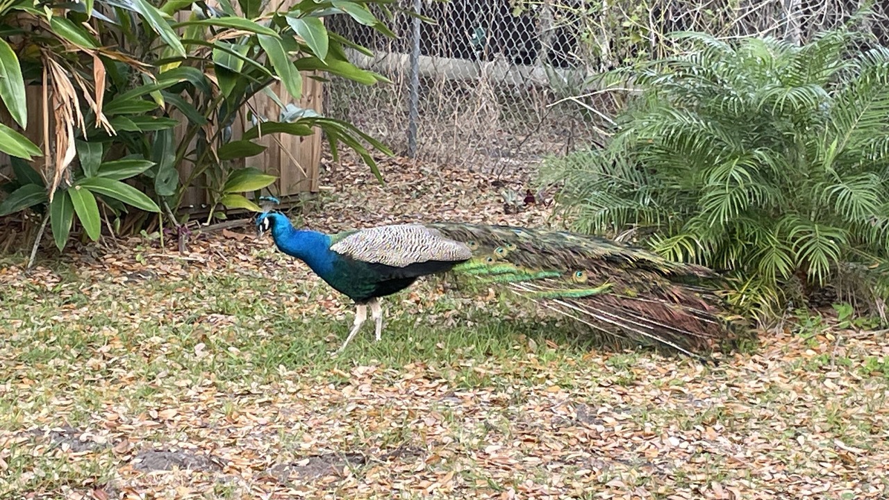 Photo of Outdoor in Sebastian