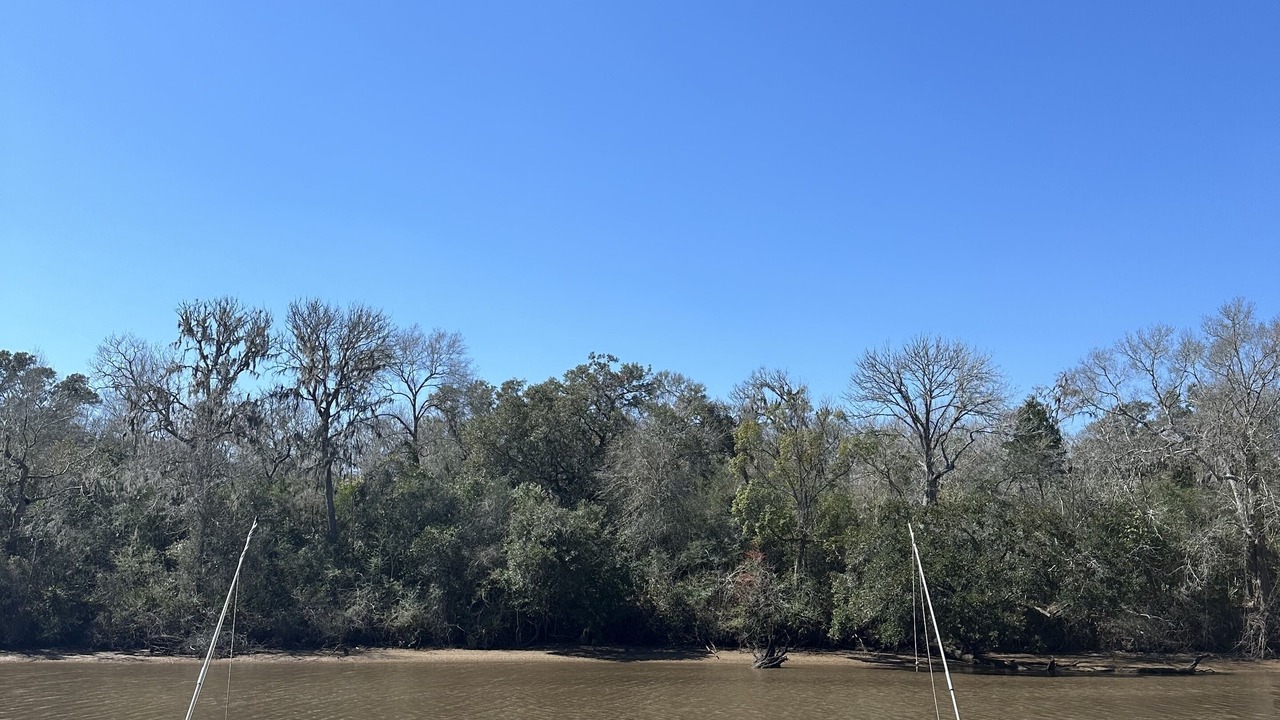 Photo of Outdoor in Brazoria