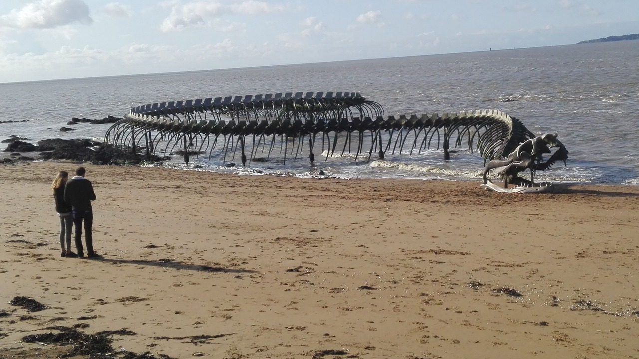 Photo of Others in Saint-Brevin-les-Pins