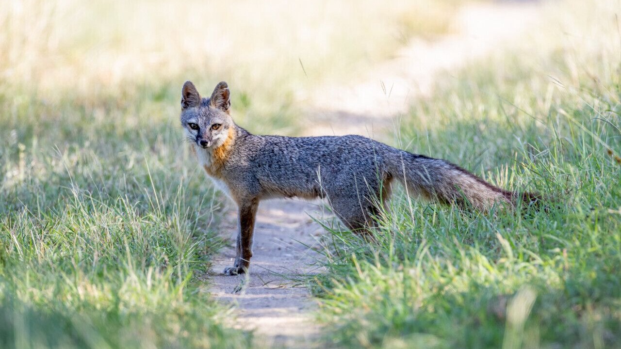 Photo of Others in Dripping Springs
