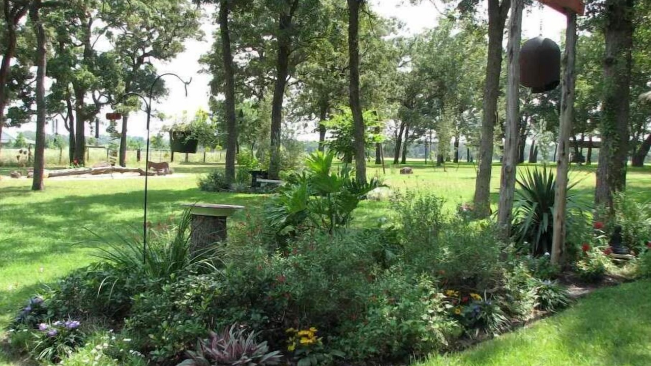 Photo of Outdoor in Jeddo