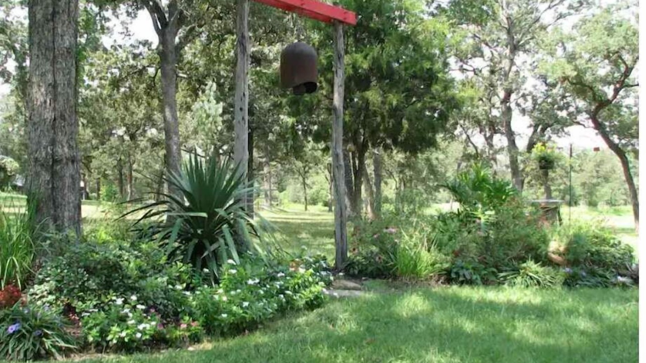 Photo of Outdoor in Jeddo