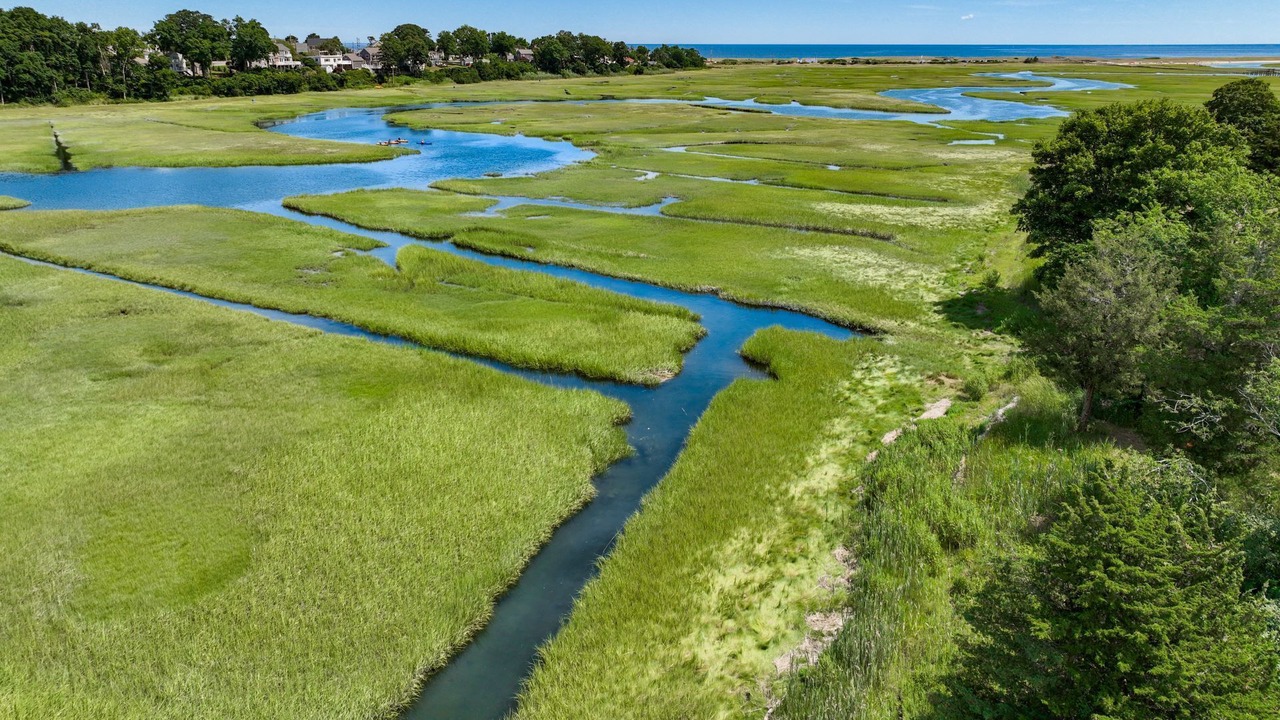 Photo of Others in Sandwich