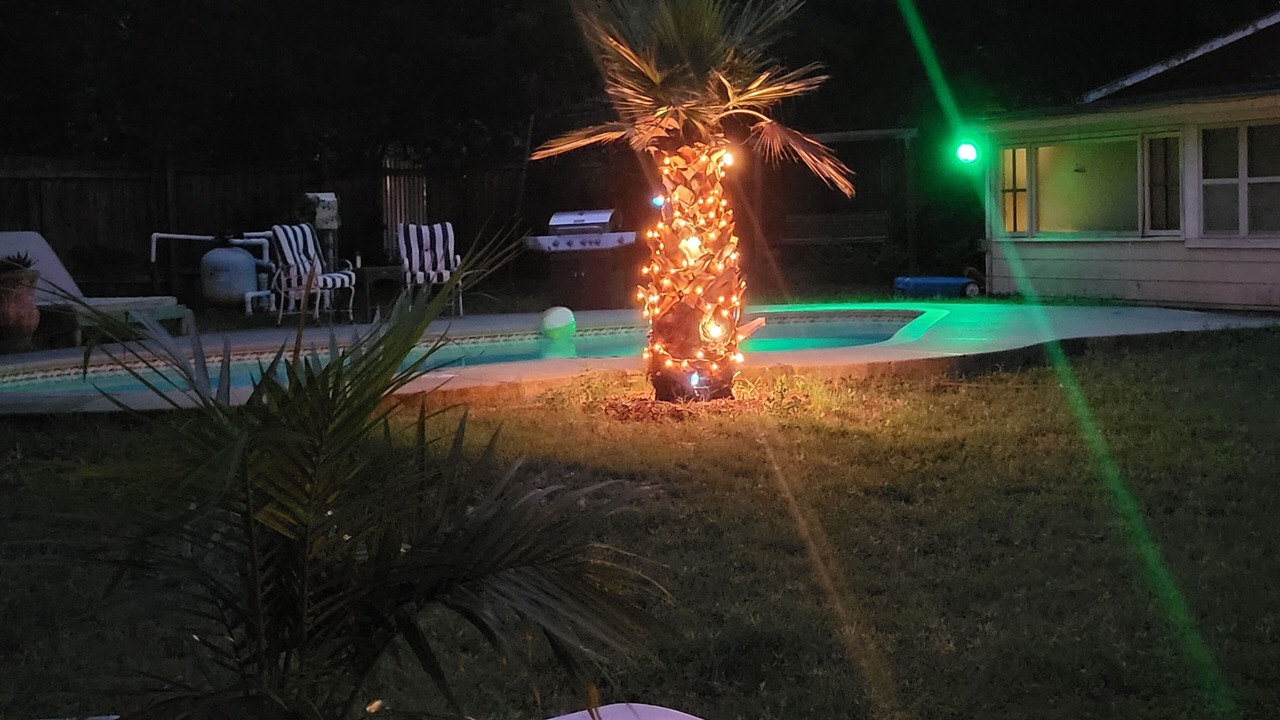 Photo of Outdoor in Austin