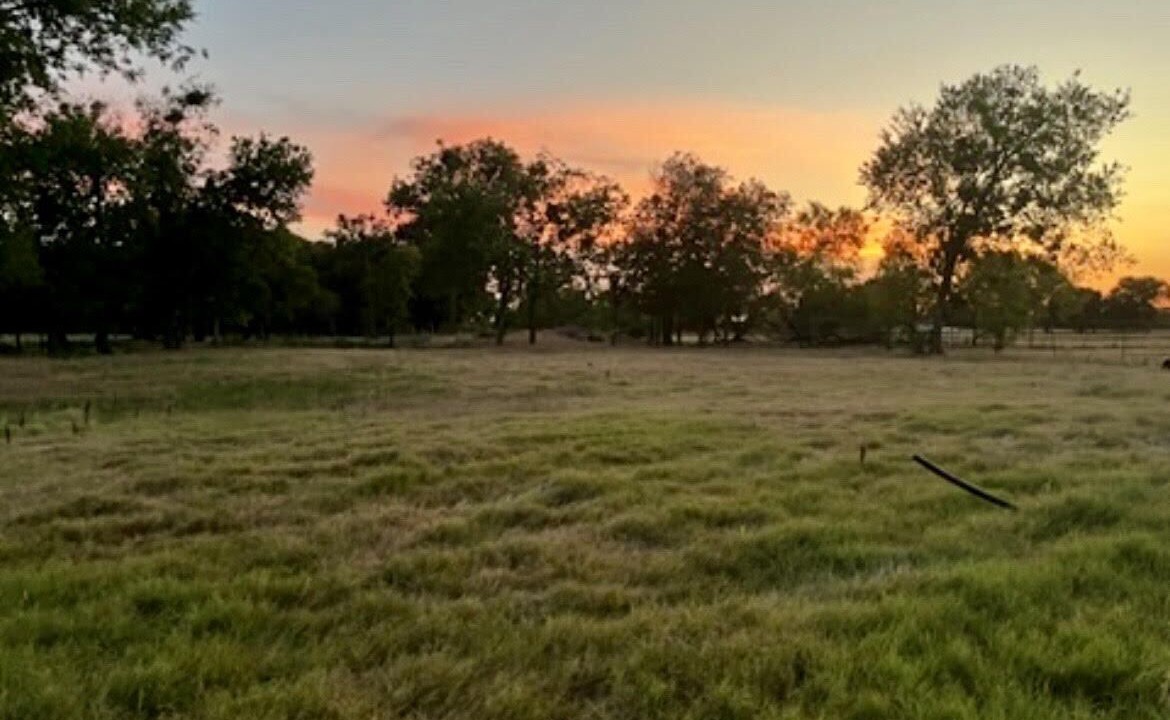 Photo of Others in Waco