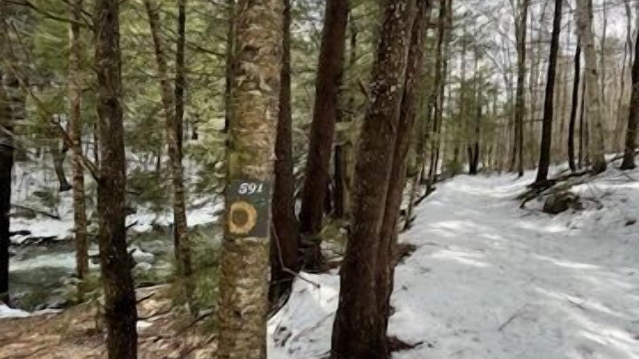 Photo of Outdoor in Warren