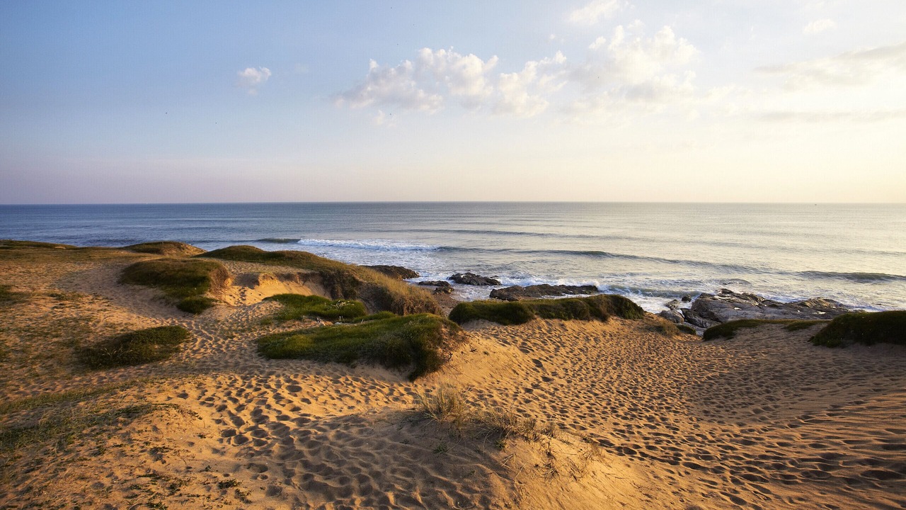 Photo of Others in Bretignolles-sur-Mer