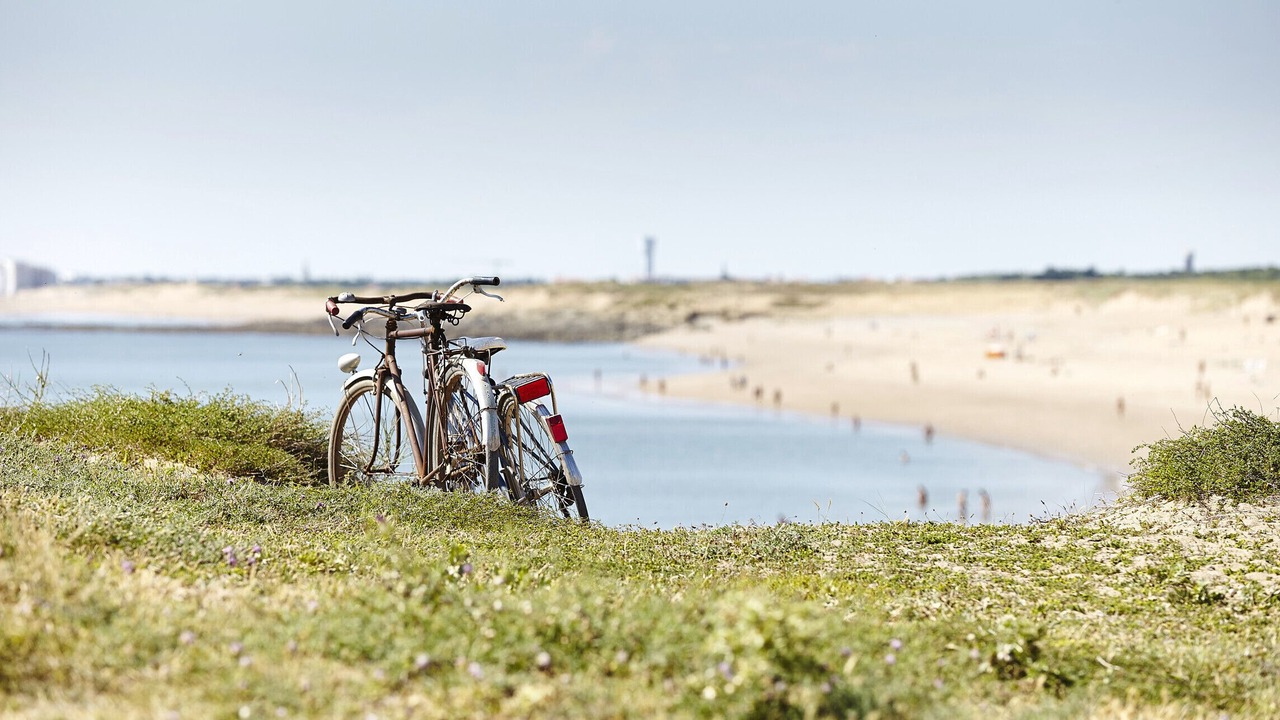 Photo of Others in Bretignolles-sur-Mer