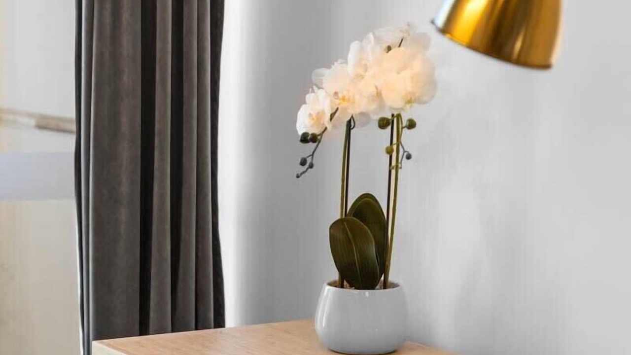 Photo of Others in Adelaide Central Business District