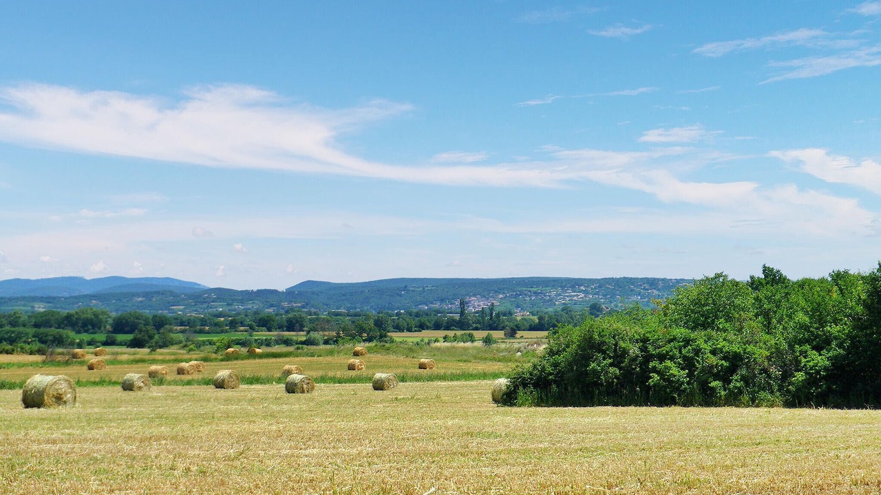 Photo of Others in Saint-Jean-de-Maruejols-et-Avejan