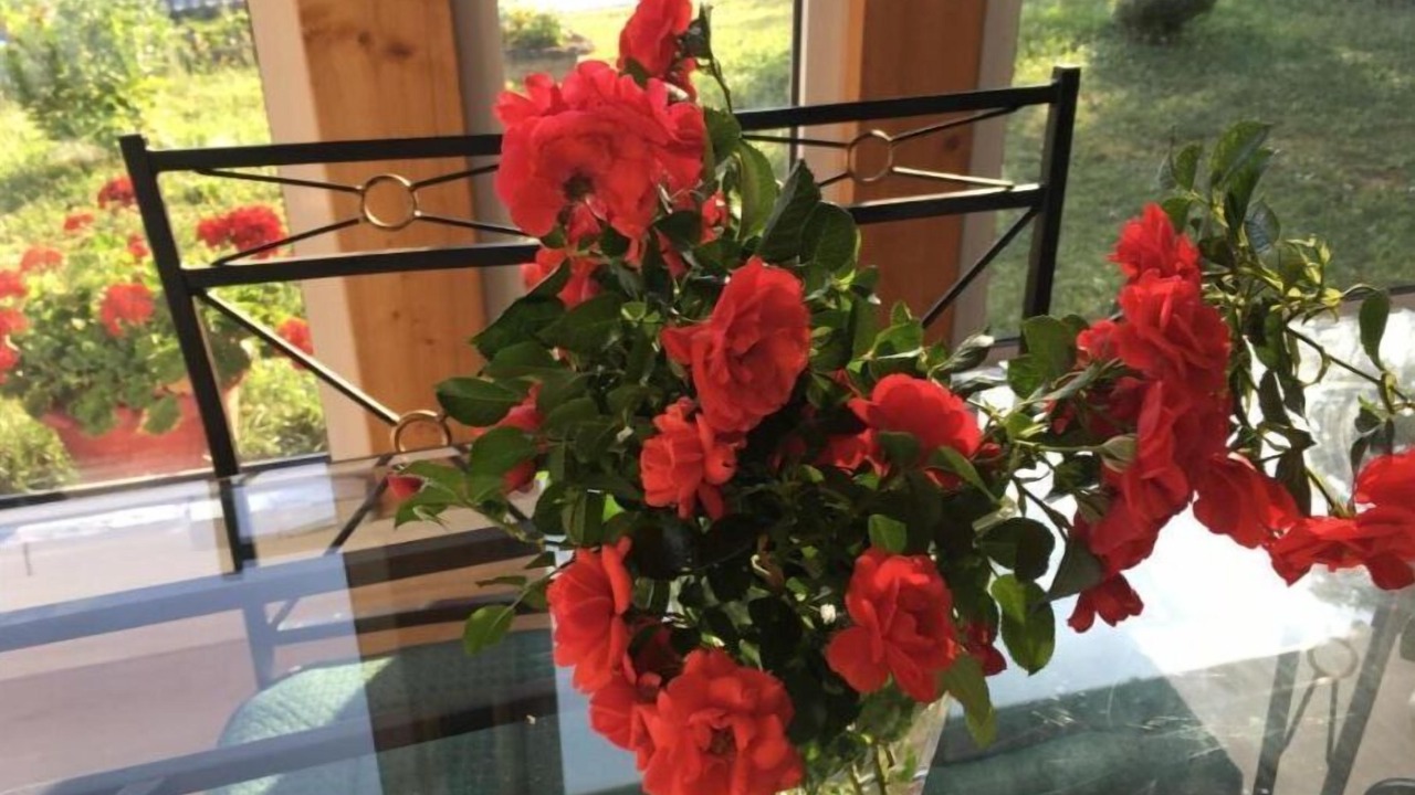 Photo of Others in Saint-Clair-du-Rhone