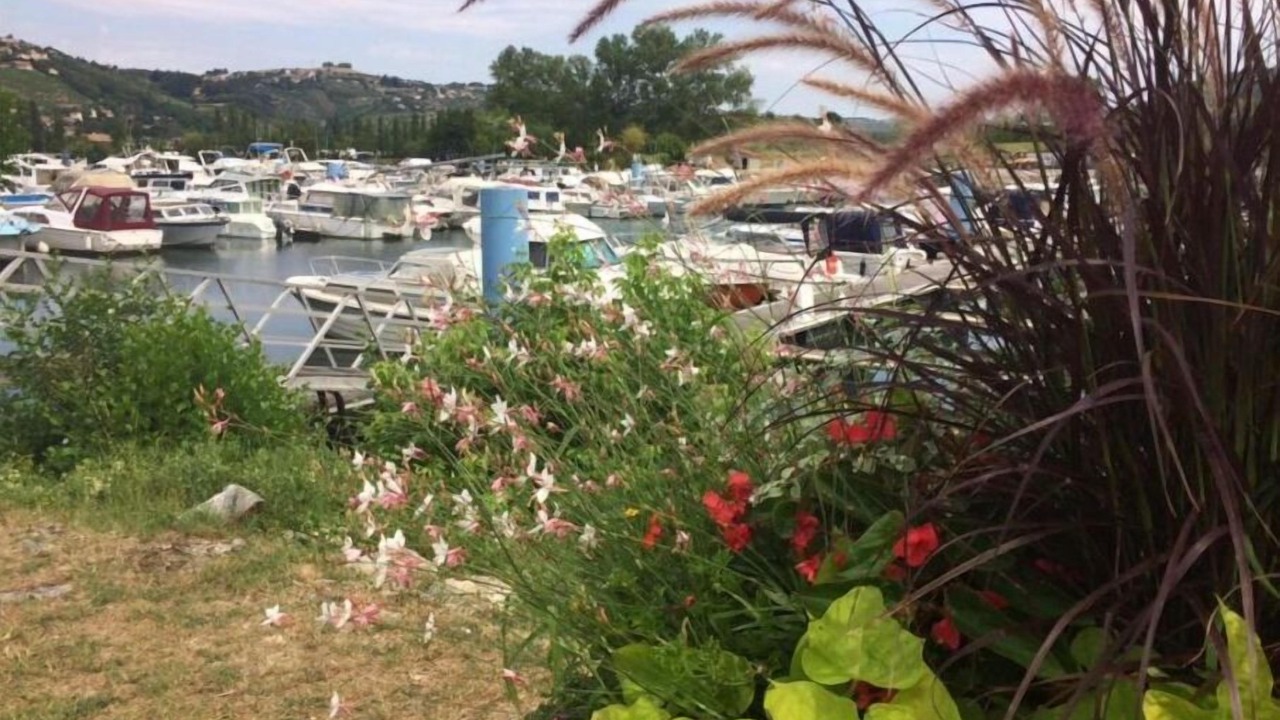 Photo of Others in Saint-Clair-du-Rhone